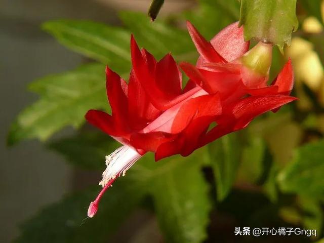 那年花谢花飞时