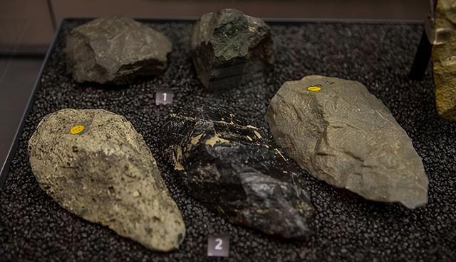 化石证据绵延超过150万年，我们远古的祖先直立人