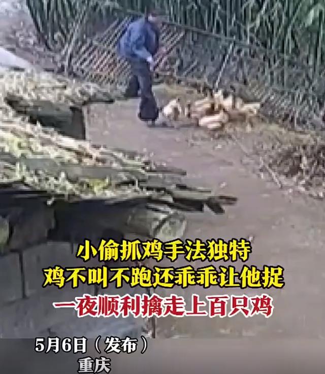 百万奔驰一周内被陌生人偷开5次