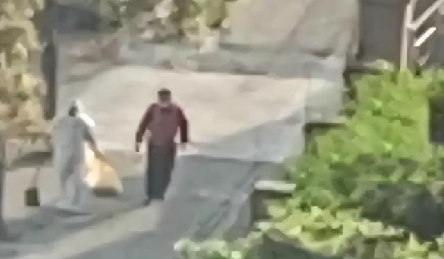 上海一柯基犬被打死，隔离人员的宠物如何处理？卫健委专家这样说