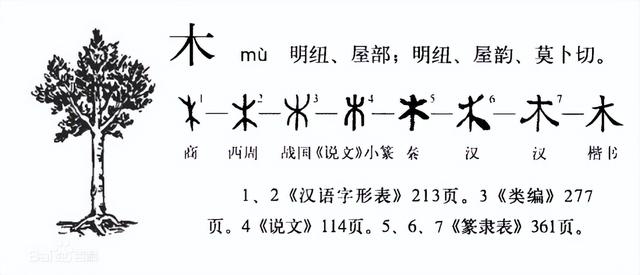 杨字五行属什么（梓字五行属什么属性）插图12