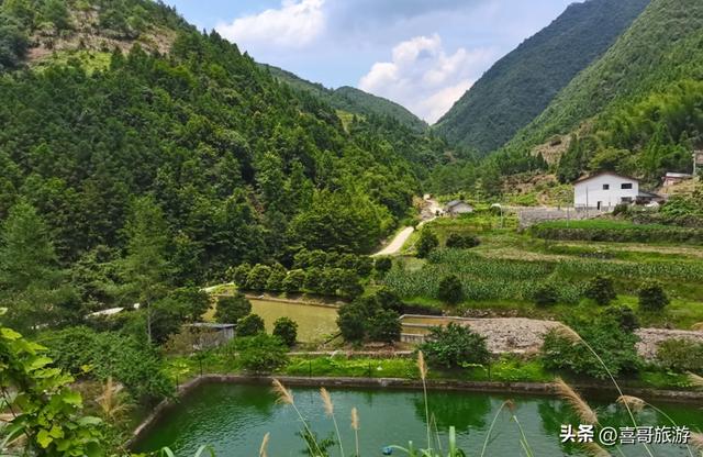 開化縣屬於哪個市,開化市有哪些鎮(18萬畝油菜花不遜色於婺源)