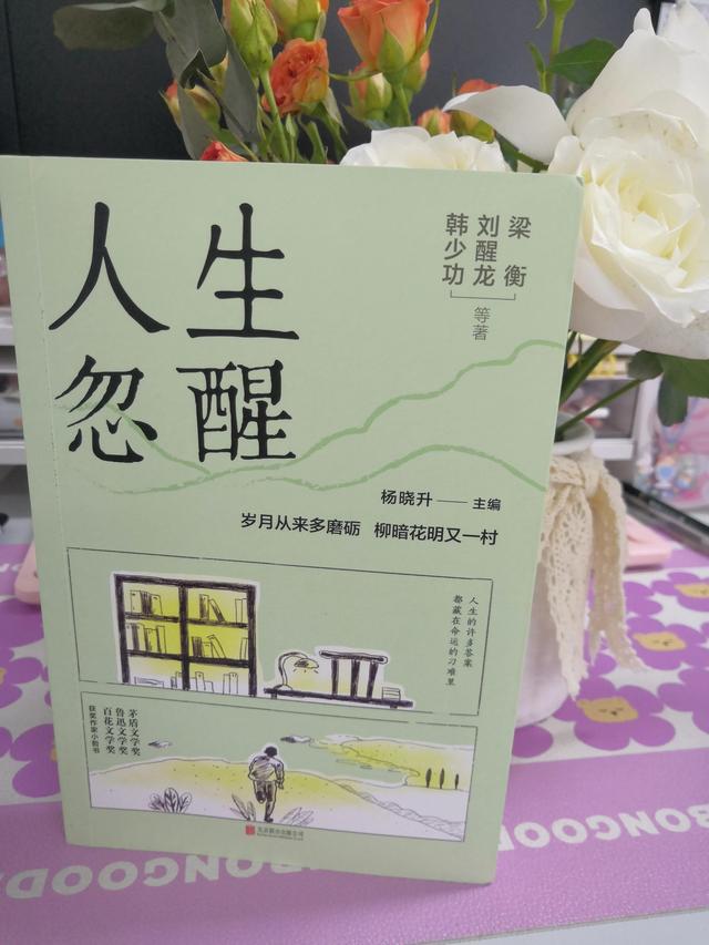 总有一些文章会为你点亮黑暗
