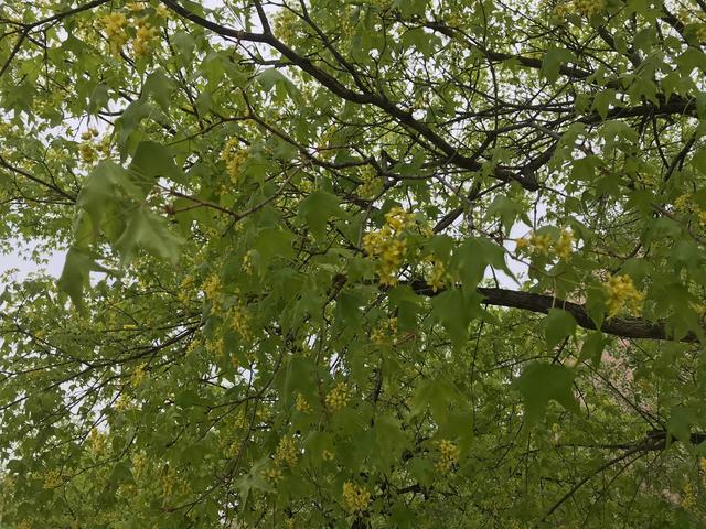闲煮光阴慢品茶 从容不迫度年华
