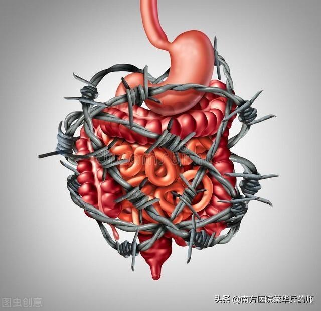 治疗便秘的中药方子大全