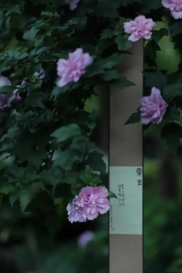 一切安好的唯美短句