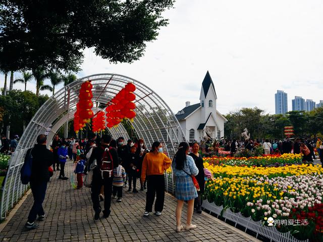 2019厦门机械展在几号