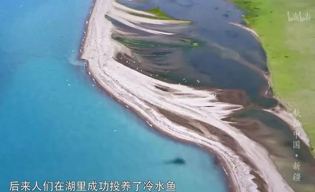 旅游节目策划(旅游纪录片排行榜)