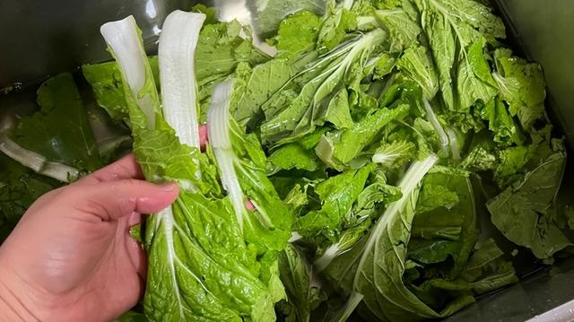 荠菜与啥菜做饺子最搭（遇到此菜别手软）(3)