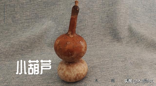 小葫芦怎样种植？小葫芦有什么作用？