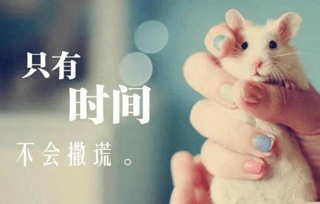 人生的岔路找自己