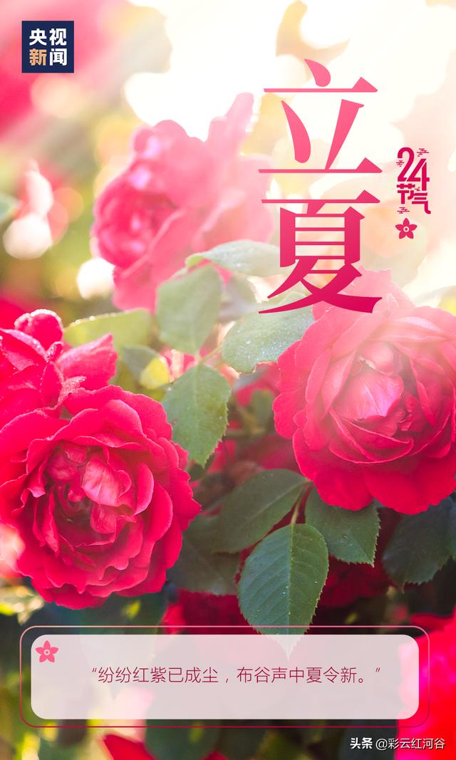 你好，夏天