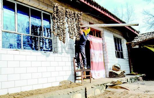 21年深山一户人家彻夜亮灯，引警方怀疑，抓获后交代：不骗中国人