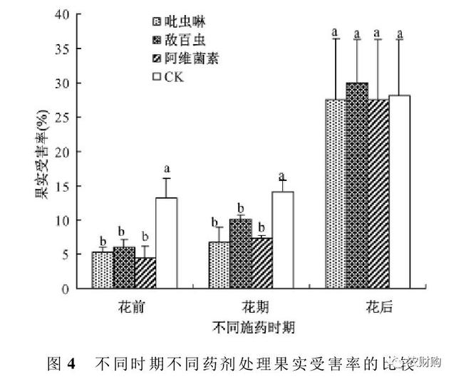 花皮果闯关开始，蓟马、花蕾蛆、灰霉、红蜘蛛，花期综合用药1