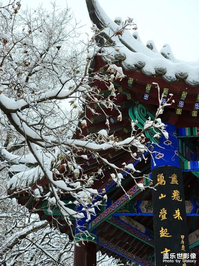 快来欣赏三星Galaxy S21 Ultra镜头下的东北辽宁最美雪景吧