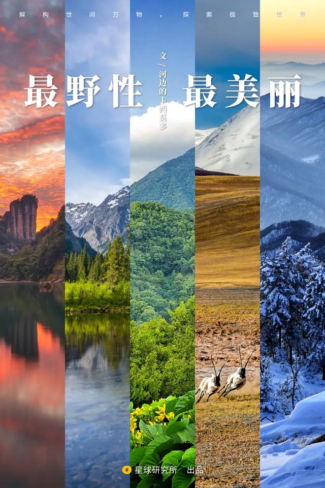 福建风化岩螺旋洗砂机多少钱的简单介绍