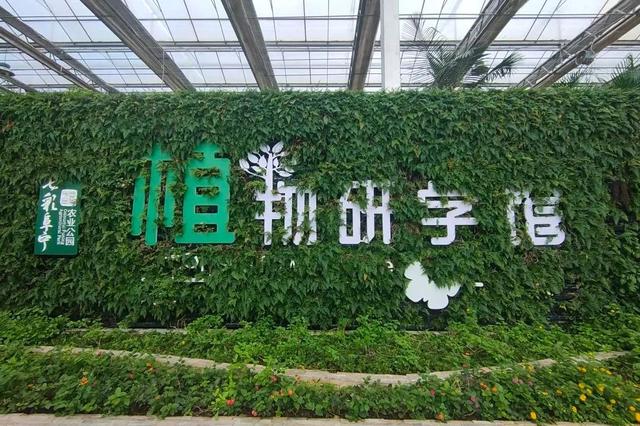 邀您游阜宁！免费旅游消费券来啦