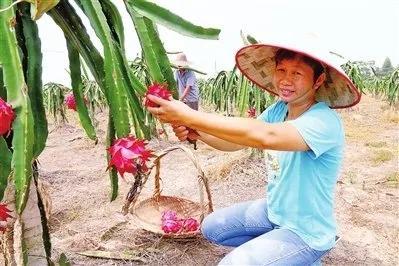 是非要明辨，帮忙讲原则！“四种忙”不要帮