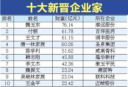 聊城板式压滤机