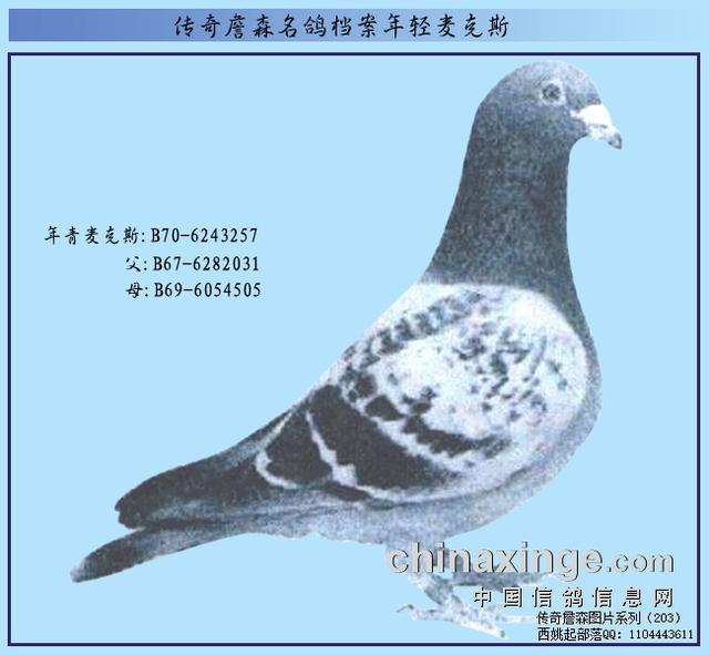 邢台华普机械制砂机