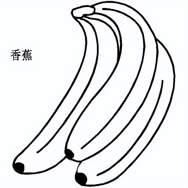 奉上100幅幼儿简笔画建议收藏（100幅简笔画赶紧教孩子）(20)