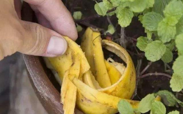 小型花盆破碎机价格
