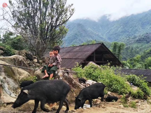 华人在缅北防疫28年 与诈骗团抢人