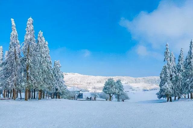 冬天的仙女山...現實版的冰雪奇緣，美爆了