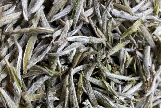 清明时节，如何喝茶养生