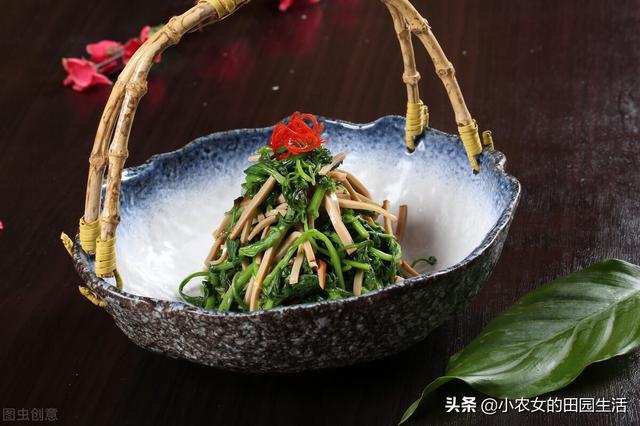 10种“神仙草”，春天采摘正当时，味道鲜美，还有益健康