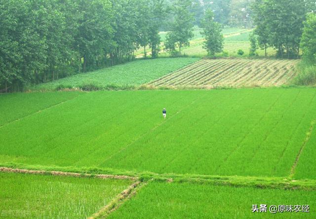 确权颁证固化了土地权利、新增人口无地可承包了吗？