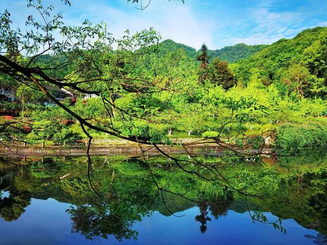 近日，六位女生的同一个购房合同和杭州一处的合院照片，引起关注