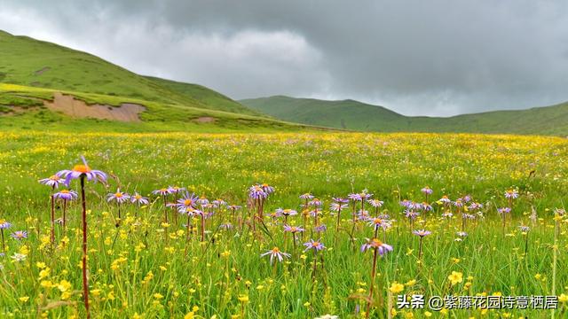 你永远不是一个人在战斗