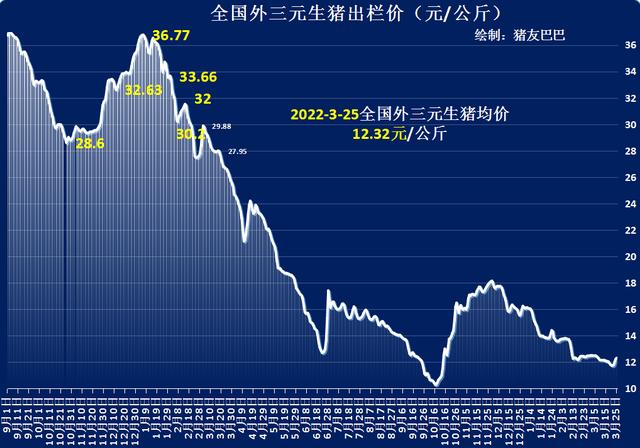 预警！3月25日猪价“变脸”，蛋价横盘，玉米、小麦冰火两重天