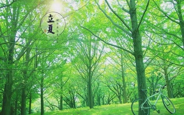 “千补万补，不如立夏一补”！立夏多吃这6种食物，健康一整年