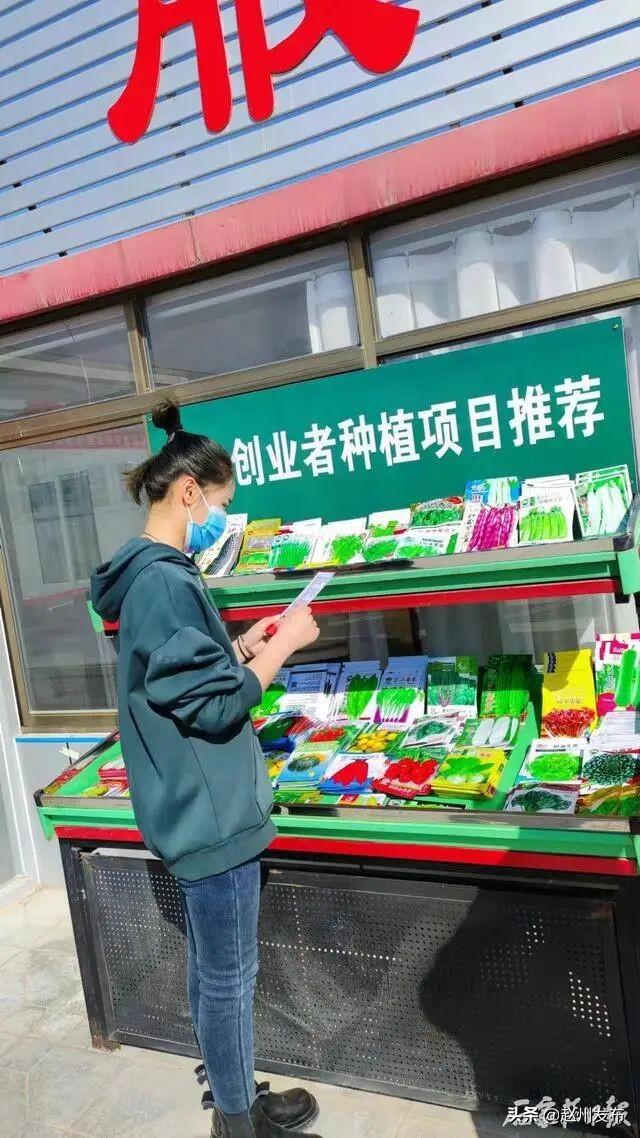 广州鑫农玉米芯破碎机