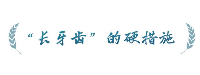 春事看农桑丨农田就是农田