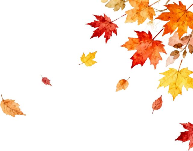 數字賦能提質效 精準資助促公平——武威市2025年學生資助工作暨全國學生資助數字化平台應用市級培訓會成功舉辦 - 