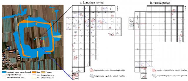 山大證實，淡出餐桌的麻，4000年前曾是北方主糧 - 