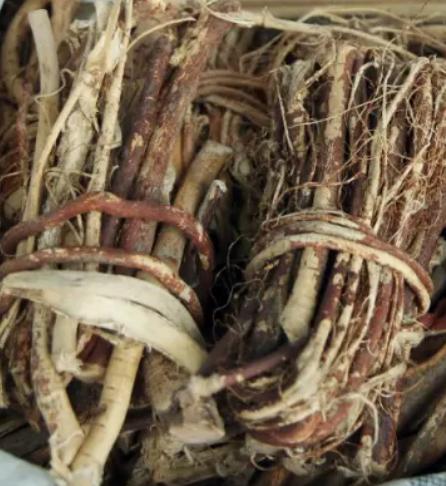 3g就能致死！復刻“莫氏雞煲”別弄錯這個原料→ - 