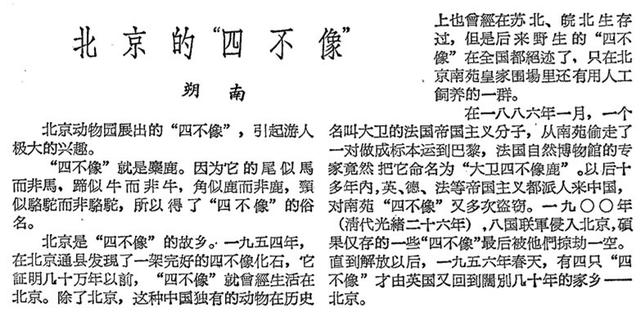 溫故丨呦呦鹿鳴響徹南海子，背後是一段從絕跡到重生的傳奇 - 