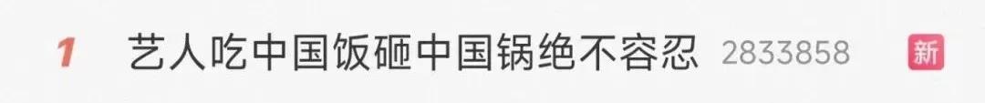 女藝人陷「辱華」爭議，媒體：吃中國飯砸中國鍋，絕不容忍！ - 天天要聞