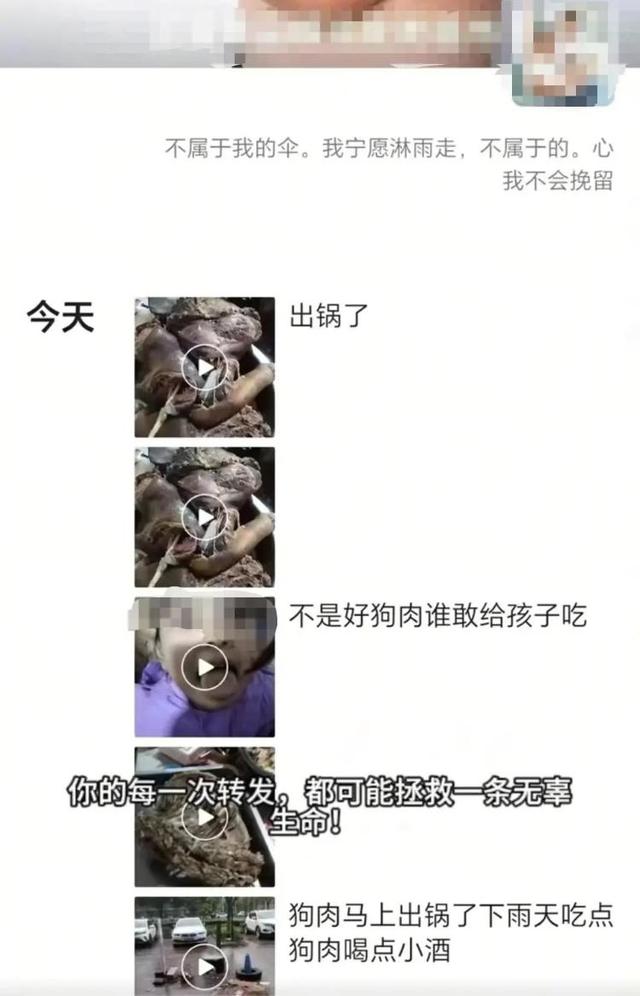 瀋陽一店鋪老闆假借領養名義烹食流浪狗，警方：正在研討處置 - 天天要聞