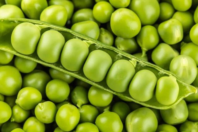 天然“爆爆珠”，口感甜、嫩、脆，還能養脾化濕 - 