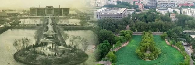 汲汲駸駸！南開“馬”給您拜年啦 - 