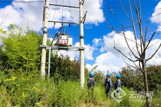 雲南會澤：銀線為弦 奏響人鶴共生新樂章 - 