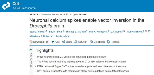 Cell | 大腦如何用“鈣波”實現向量反轉？