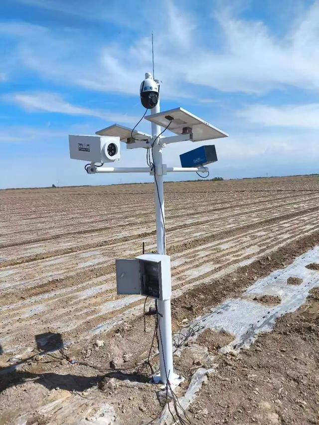 海派鄉村新圖景丨魔都農業科創力：光譜為眼、算法為腦，滴翠智能以AI賦能智慧農業 - 