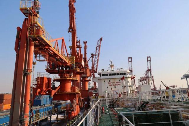 降本20%！煙台港助力外貿物流提速增效 - 