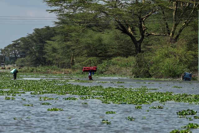 （外代二線）肯尼亞：撤離家園 - 